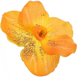 STORCZYK WYROBOWY POMARAŃCZOWY