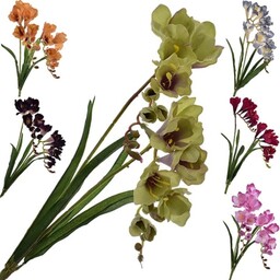 FREZJA GAŁĄZKA KWIAT ROŚLINA 56 CM