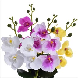 KWIAT, GAŁĄZKA STORCZYKA Z LIŚĆMI I WĄSAMI