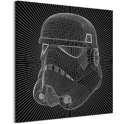 Star Wars Stormtrooper Wire - obraz na płótnie
