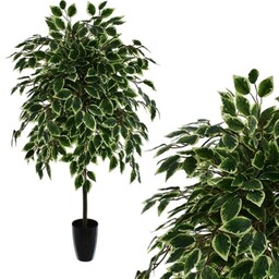 DRZEWKO SZTUCZNE BENJAMIN W DONICZCE 160 CM