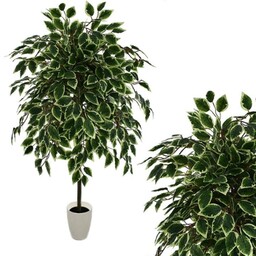 DRZEWKO SZTUCZNE BENJAMIN W DONICZCE 150 CM