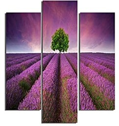 Homemania Fioletowy obraz 3-częściowy-natura i krajobrazy-przez salon, sypialnia-wielokolorowe, 57 X 0,3 X 60cm-HM203MDF209, MDF