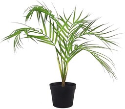 Botanik Realistyczna sztuczna palma doniczkowa i tropikalne drzewa - gotowe do ekspozycji