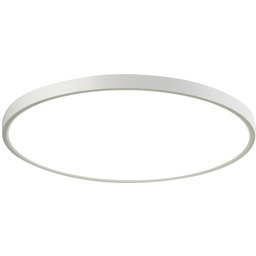 Italux Alata PLF-72836-300R-24W-WH plafon biały okrągły LED 24W regulacja barwy 30cm