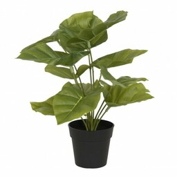 Sztuczna Roślina w Doniczce A Clayre & Eef