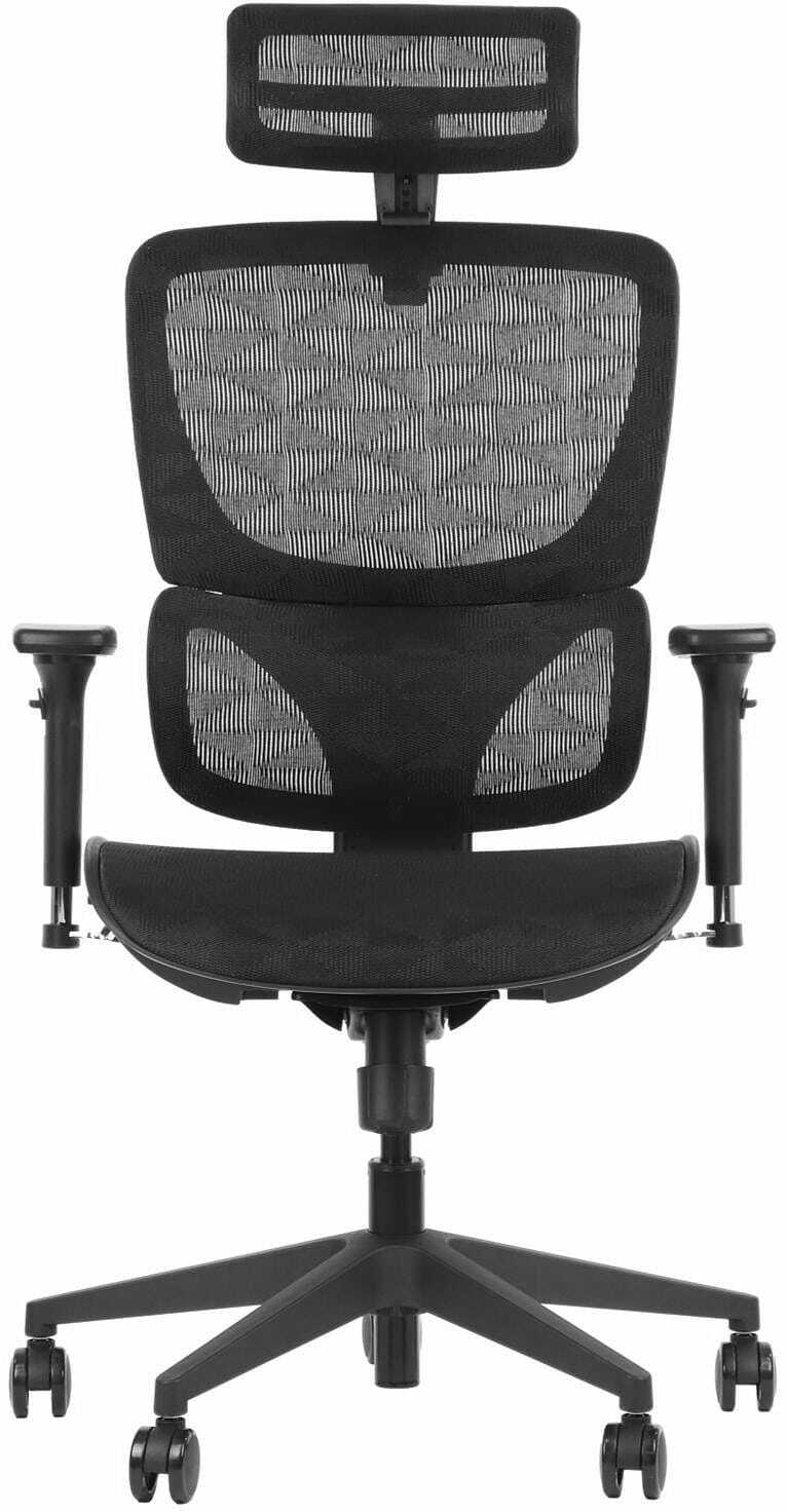 Ergonomiczne krzesło obrotowe/biurowe ErgoNew S1 - regulowane oparcie, podłokietniki i zagłówek, siedzisko siatkowe, podstawa nylonowa