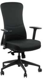 Fotel ergonomiczny Kenton