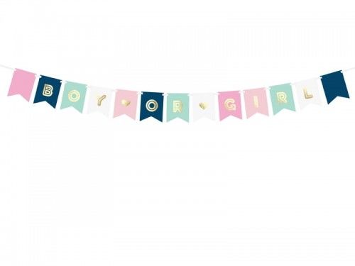 Girlanda, baner na Baby Shower "Boy or Girl"