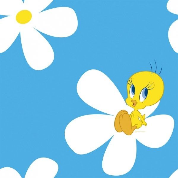 Tapeta tweety