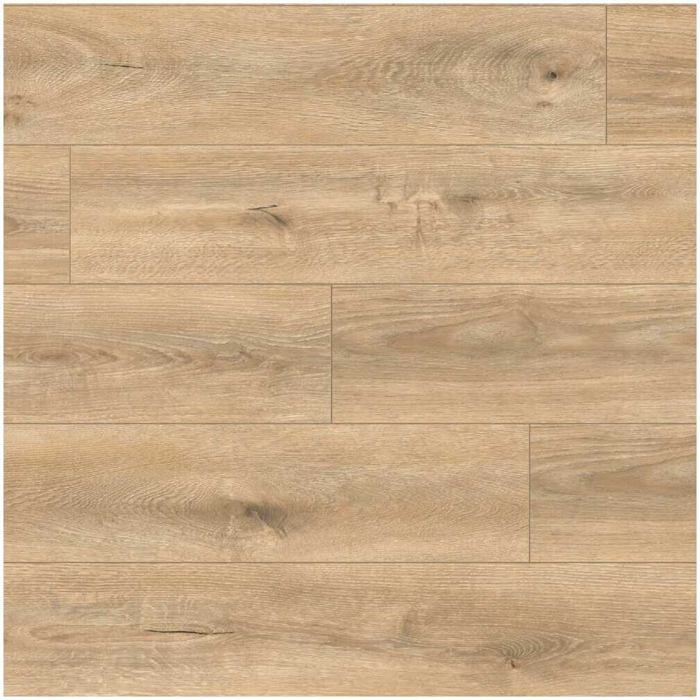 Panele podłogowe laminowane Dąb Yonas AC6 10 mm