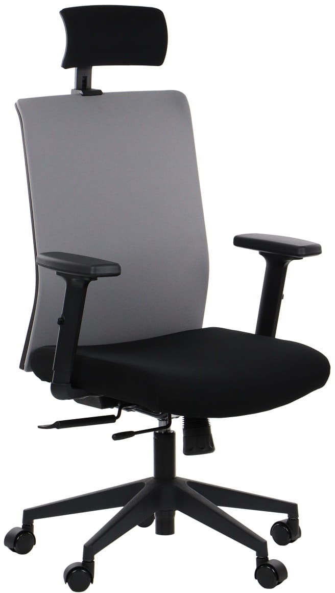 Fotel biurowy obrotowy RIVERTON - zagłówek, oparcie tkaninowe, różne kolory